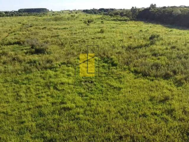 #6 - Granja  Finca para Venta en Arroyos y Esteros - PY-3