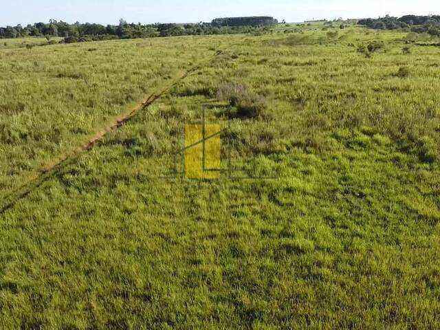 Granja  Finca para Venta en Arroyos y Esteros - 4