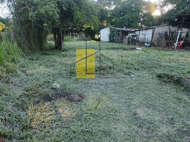 Área para Venta en Luque - 5