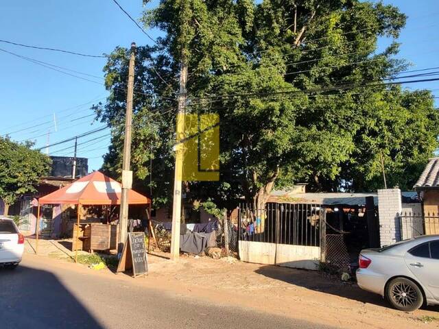 Área para Venta en Luque - 4