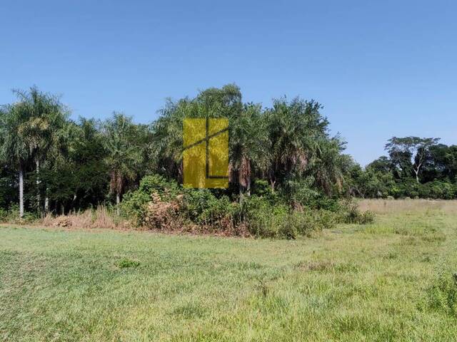 Área para Venta en Ypacarai - 5