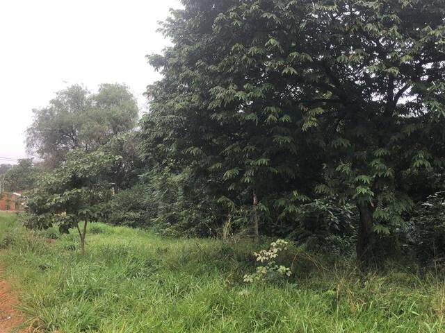 Área para Venta en Ñemby - 4