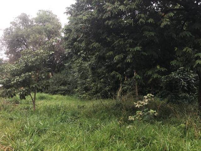 #85 - Área para Venta en Ñemby - PY-11